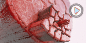 INVICTUS-RIBEIRAO-PIRES-SISTEMA-IMUNE